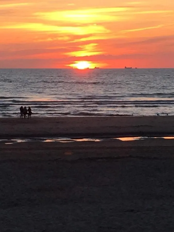 Cottage 44 - Free Parking! Zandvoort Bed & Breakfast