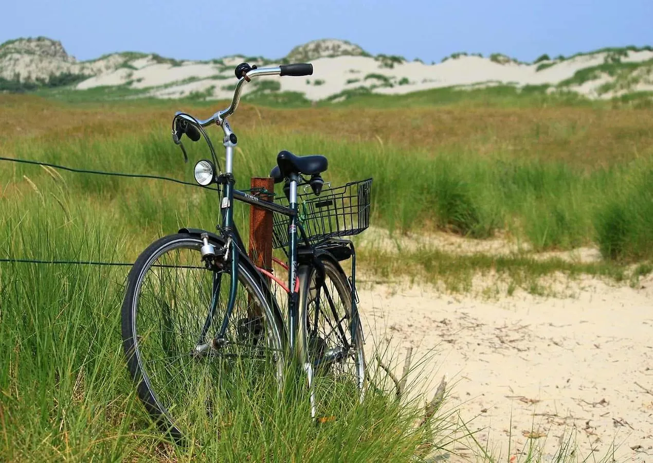 Cottage 44 - Free Parking! Zandvoort 0*,  Holland